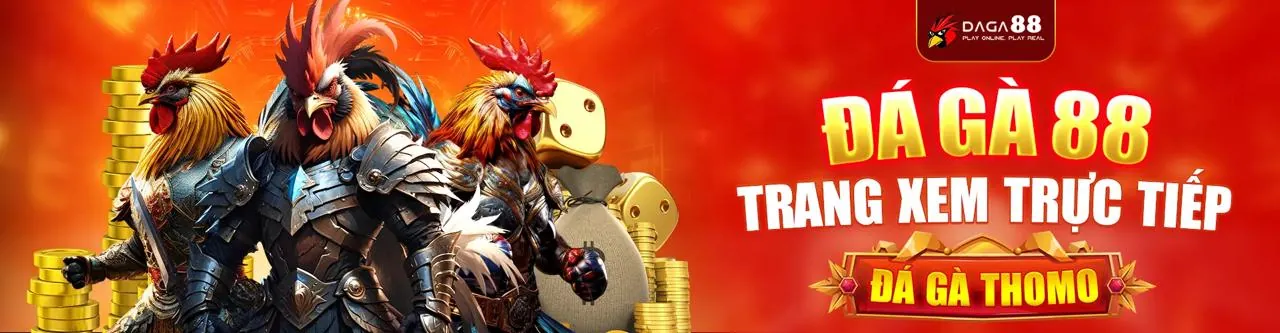 Bước 1: Truy cập trang web chính thức của mb5